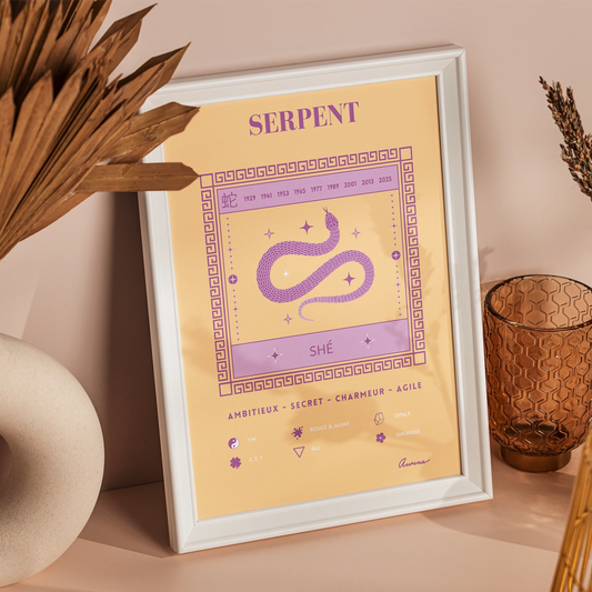 affiche_zen_decoration_signe_chinois_serpent